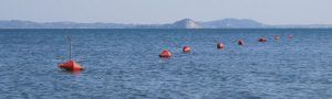 Das Bild zeigt eine Reihe roter Bojen, die in einer Linie auf einer ruhigen Wasseroberfläche schwimmen. Im Hintergrund sind sanfte Hügel oder eine Küstenlandschaft zu sehen, die sich unter einem klaren blauen Himmel erstreckt. Die Bojen scheinen eine Grenze oder Markierung im Wasser anzuzeigen, und das Bild vermittelt eine friedliche, maritime Atmosphäre. Die leuchtend roten Bojen bilden einen Kontrast zum blauen Wasser.
